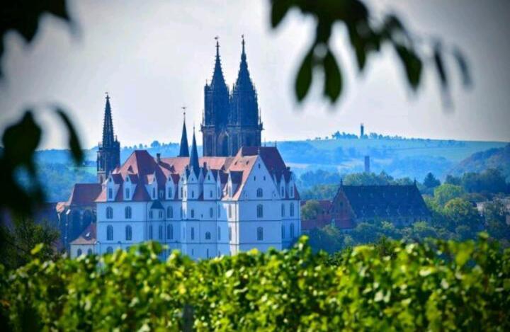 Ferienhaus Dr. Mueller Meißen المظهر الخارجي الصورة