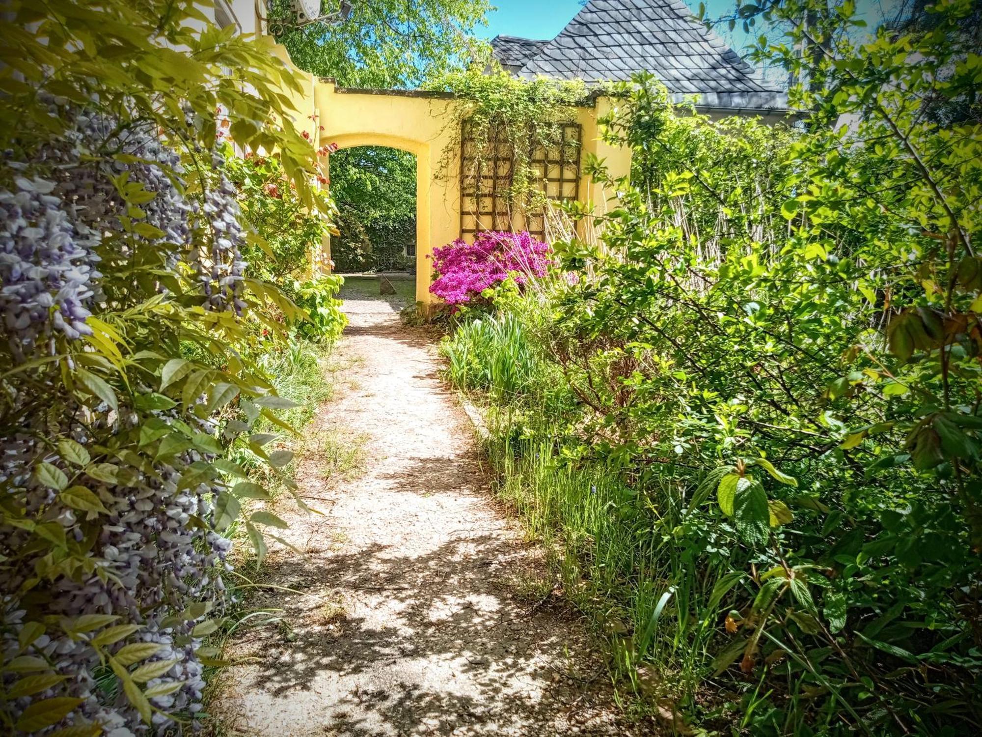 Ferienhaus Dr. Mueller Meißen المظهر الخارجي الصورة