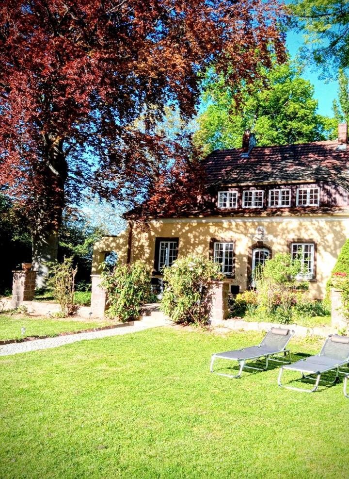 Ferienhaus Dr. Mueller Meißen المظهر الخارجي الصورة